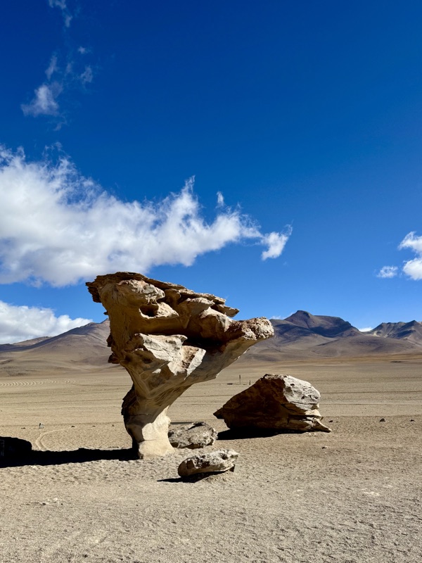The Árbol de Piedra, a wind-carved rock shaped like a tree, on the sandy Siloli Desert